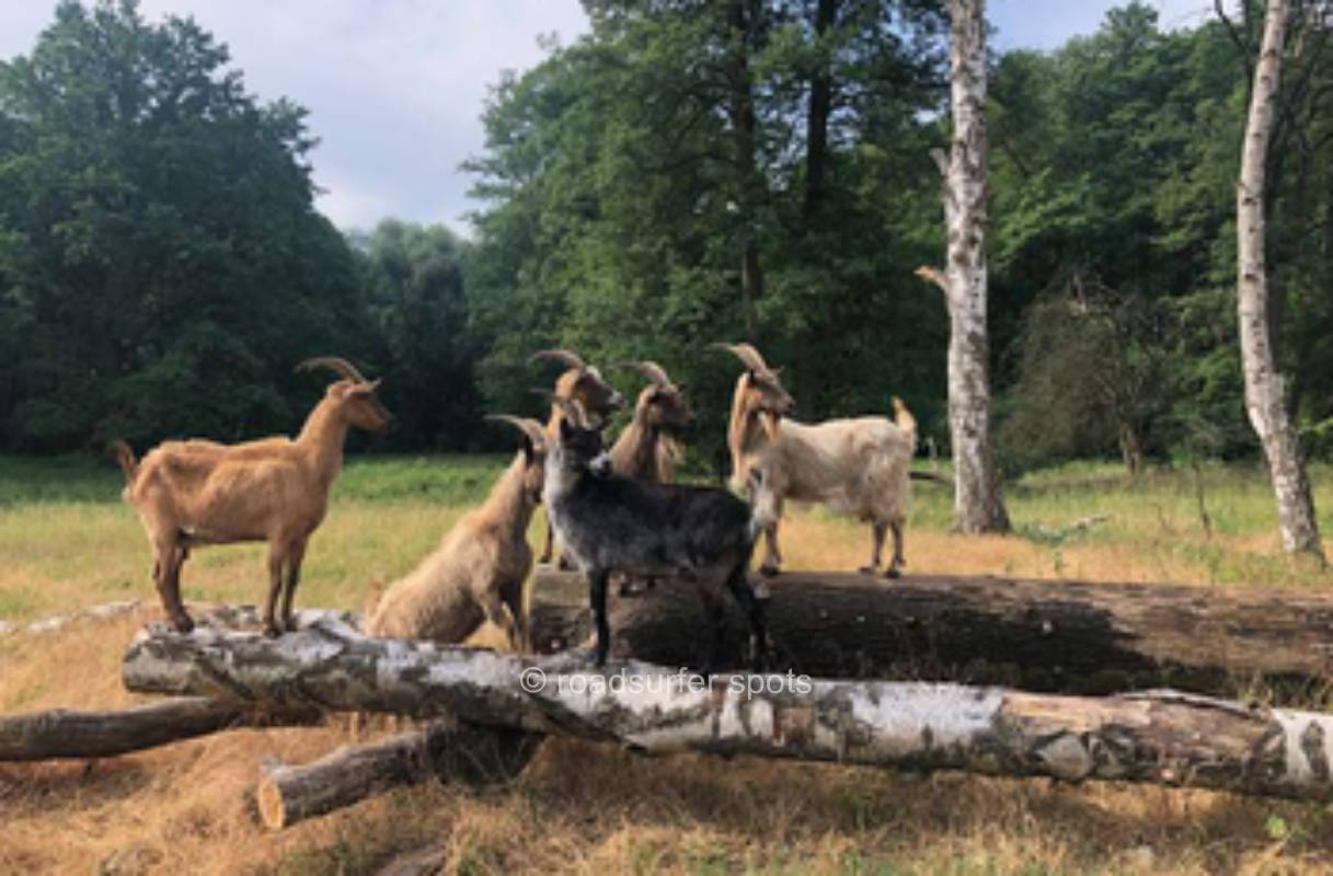 Nature Conservation Camp-Neuenhagen