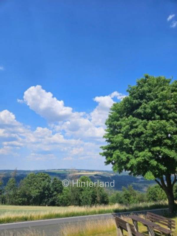 Weitblick ins Thüringer Schiefergebirge