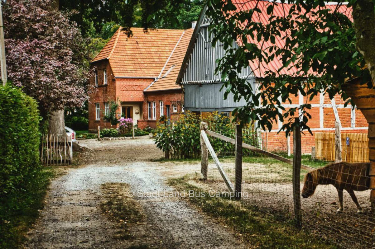 Am Mühlenbach - Anna Späth