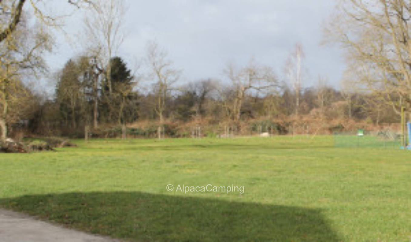 At the Swedish flower chickens #1