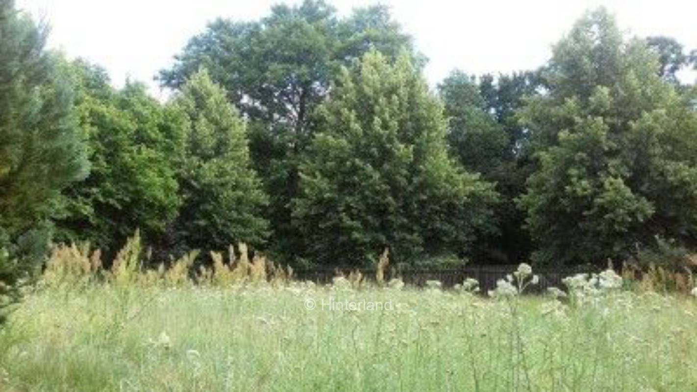 Verwilderter Garten im Seenland Oder/Spree, privater Stellplatz