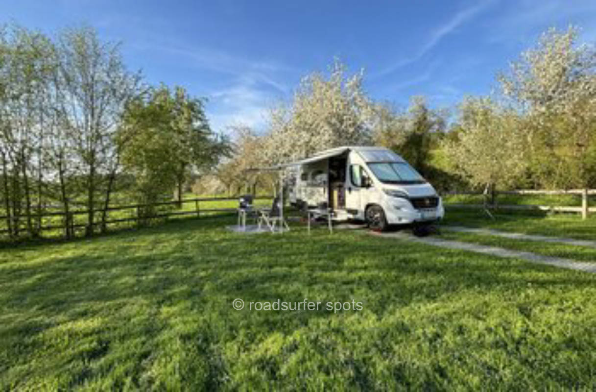 Meadow with view of Engen and the Hohenhewen