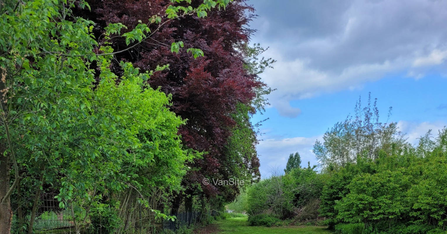 Wiese am Quellteich