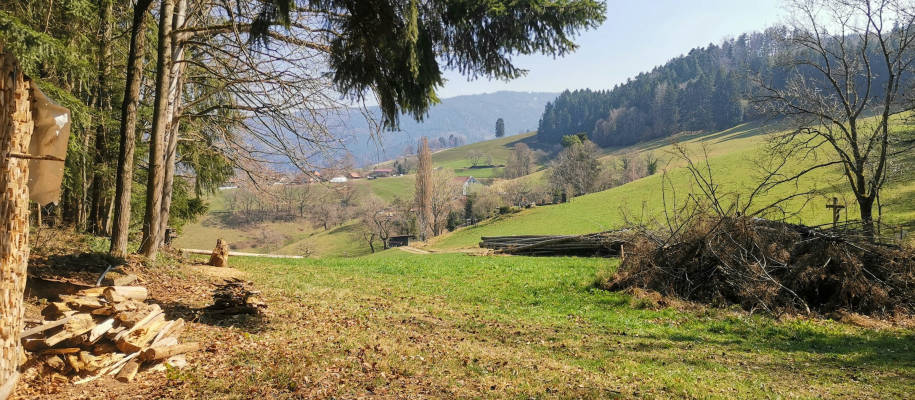 Idyllischer ruhiger waldrandplatz bei elli thomas