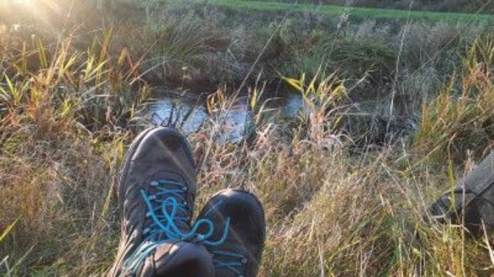 Exclusive pitch on the Aller Cycle Route
