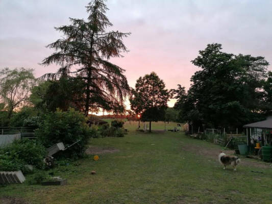 Stellplatz für Zelt, Van, Wohnmobil oder Wohnwagen (Campspace 7886)