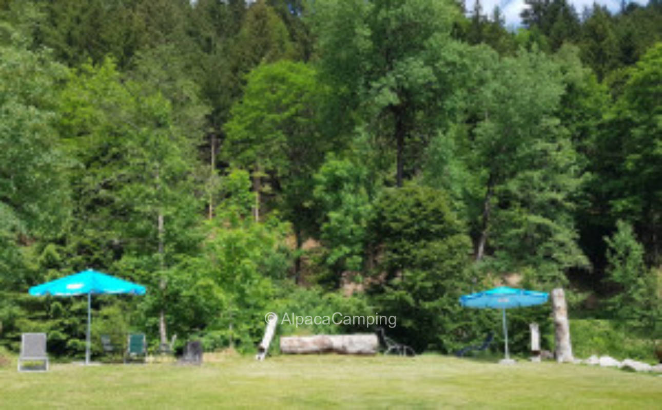 Black Forest Nature Park #1