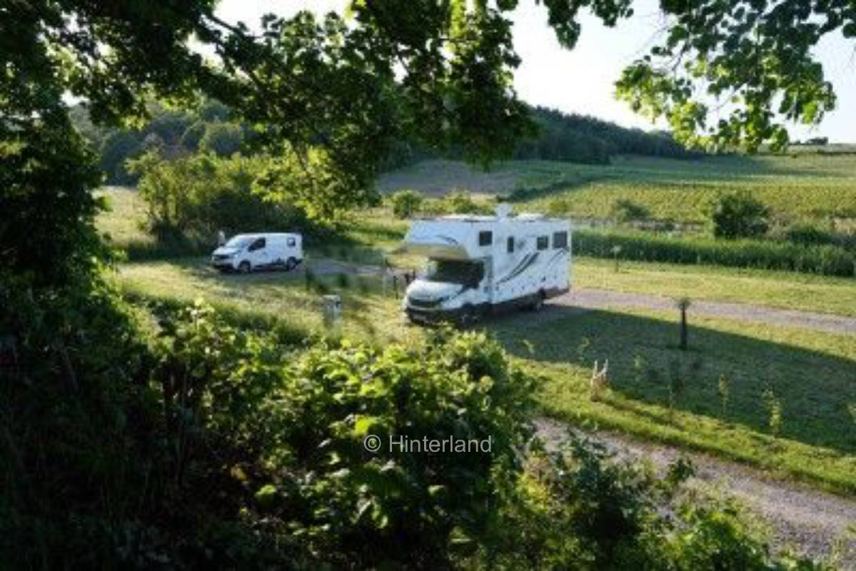 Am Rande des Vogelschutzgebietes auf dem Weingut, privater Stellplatz