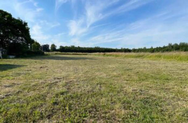 Wiese umgeben von Feldern in den Rheinauen