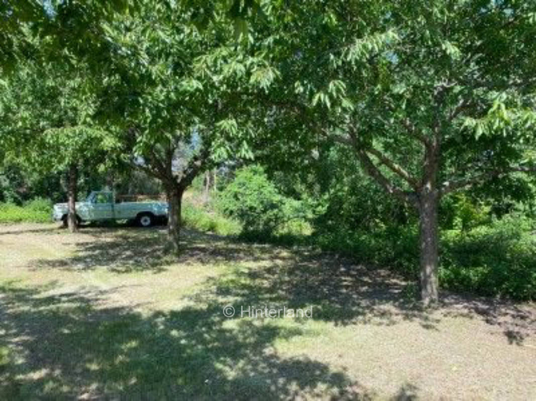 Die Kirschwiese in der Kiesgrube