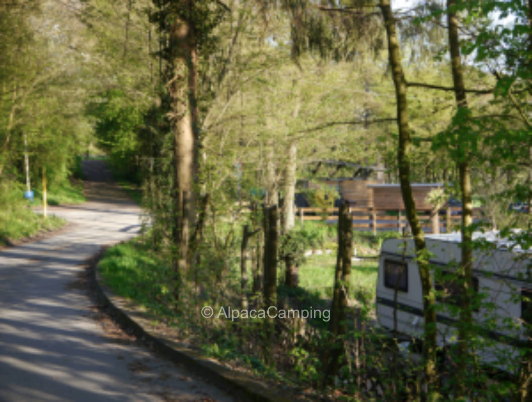 Pitch Camping Meigermühle, directly on the river #2