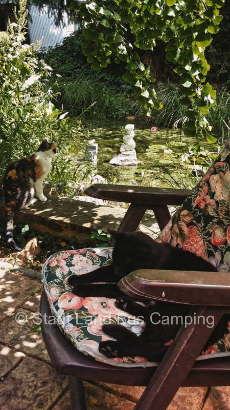 Connys Naturoase - Stellplatz Eins