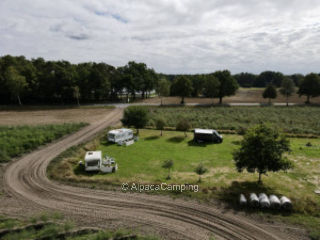 Under the big oak tree #3