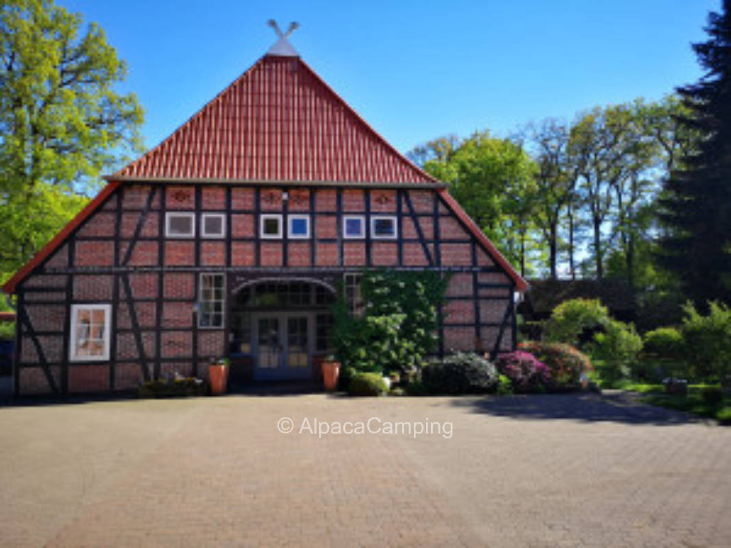 Idyllischer Stellplatz zwischen Alpakas und Kühen auf dem Ennenhof (Ferienhof, Lüneburger Heide) #3