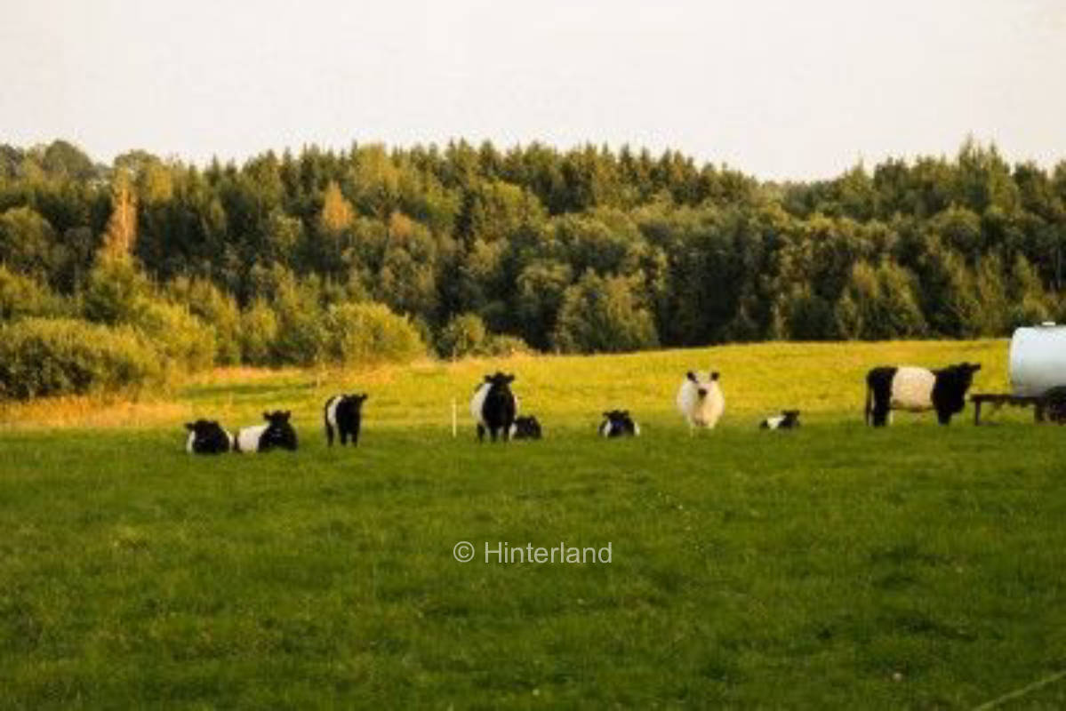 Alternativer Bio- Bauernhof mit viel Natur