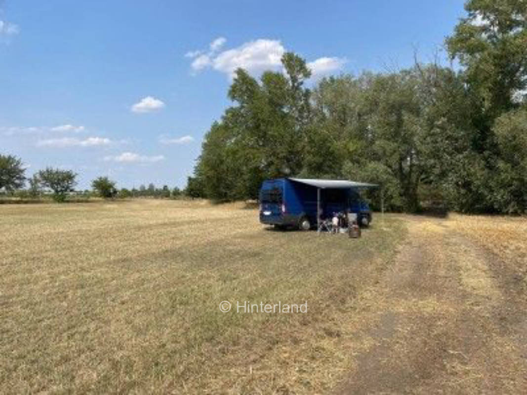 Am Wäldchenackerrand in der Nähe von Merseburg