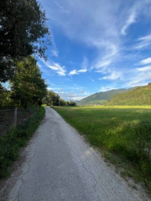 Cozy peaceful location on the Enns
