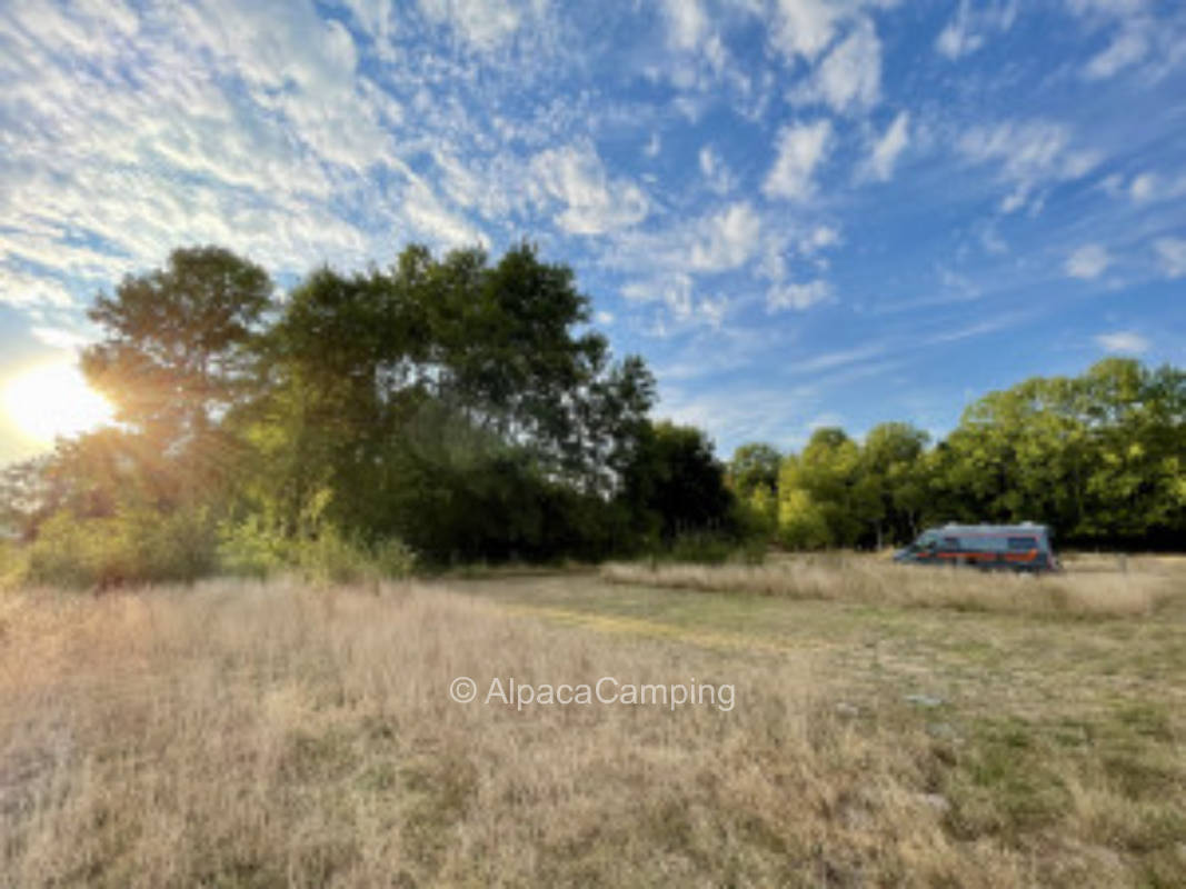 Stellplatz in der Wiese #1