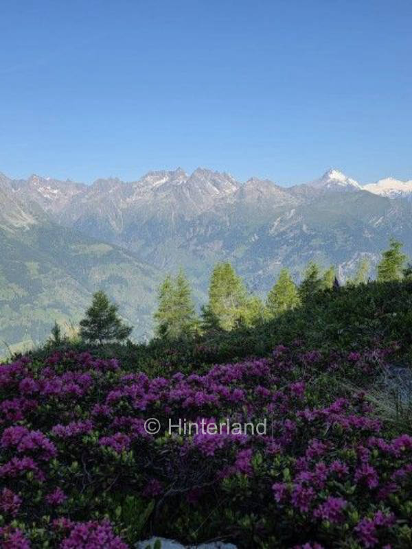 Zelten auf der Hochalm - Natur pur auf über 2000m