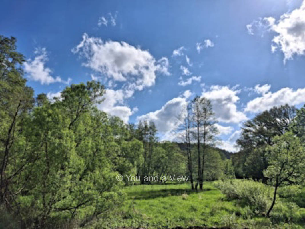 Idylle am kleinen Saynbach