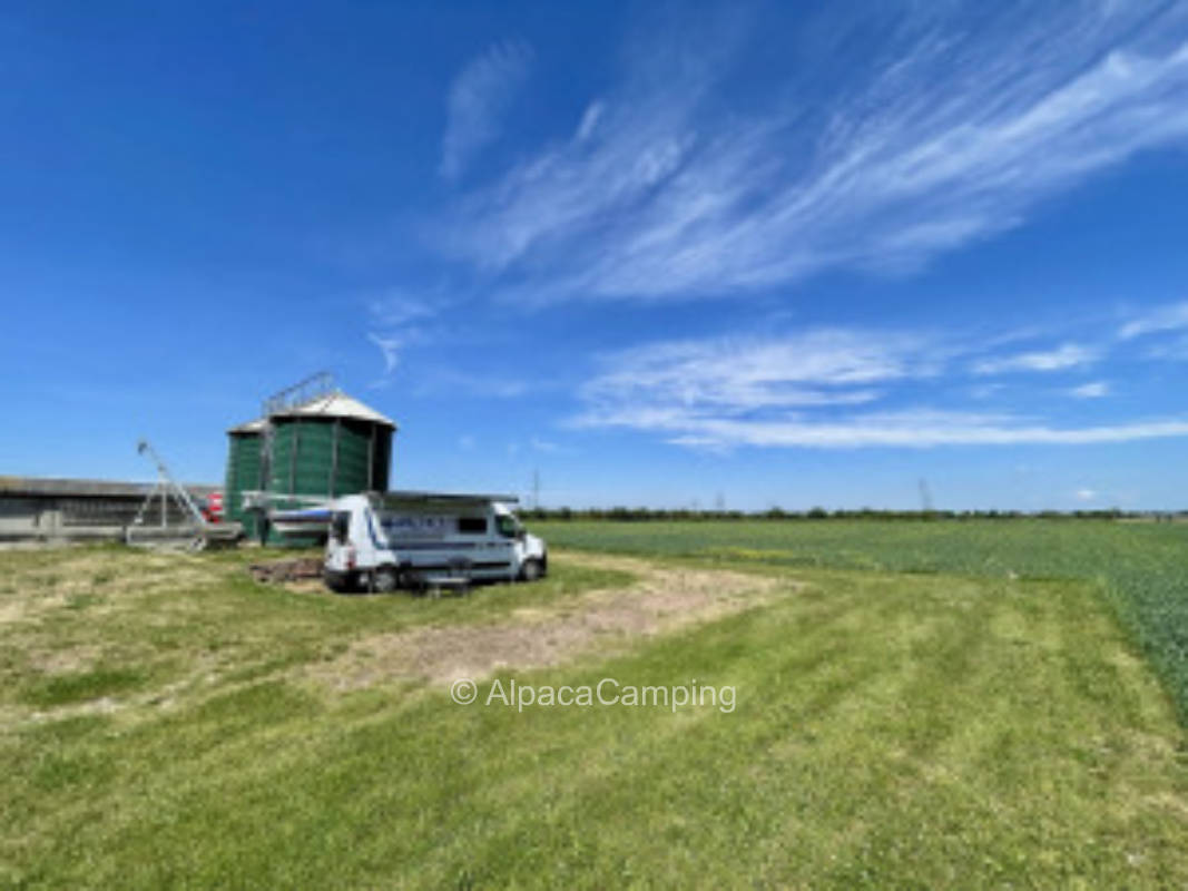 Behind the Schwetzingen Palace Garden #1