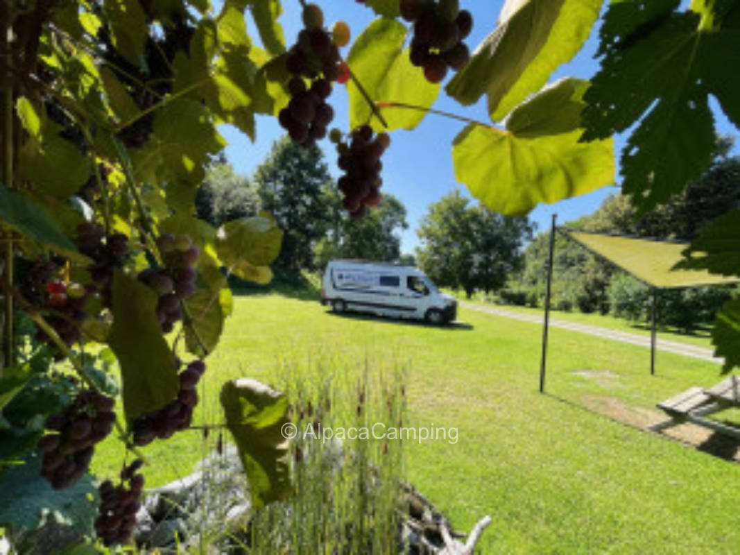 Shared pitch on beautiful meadow in Straßkirchen