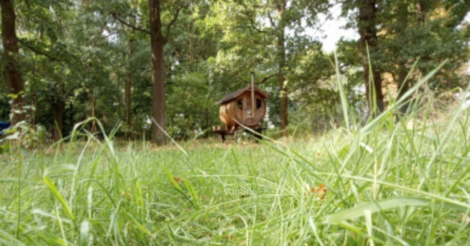 Wald und Wiesen Stellplatz