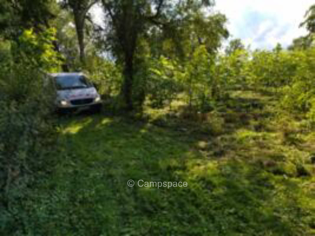 Camping nahe Ostsee in der Aufforstung