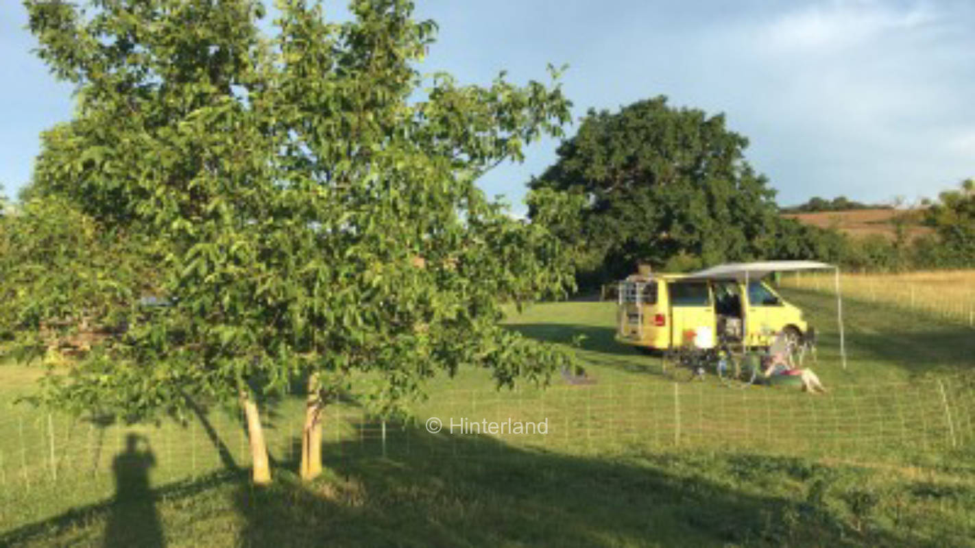 Pure nature - camping together with the heidschnucken