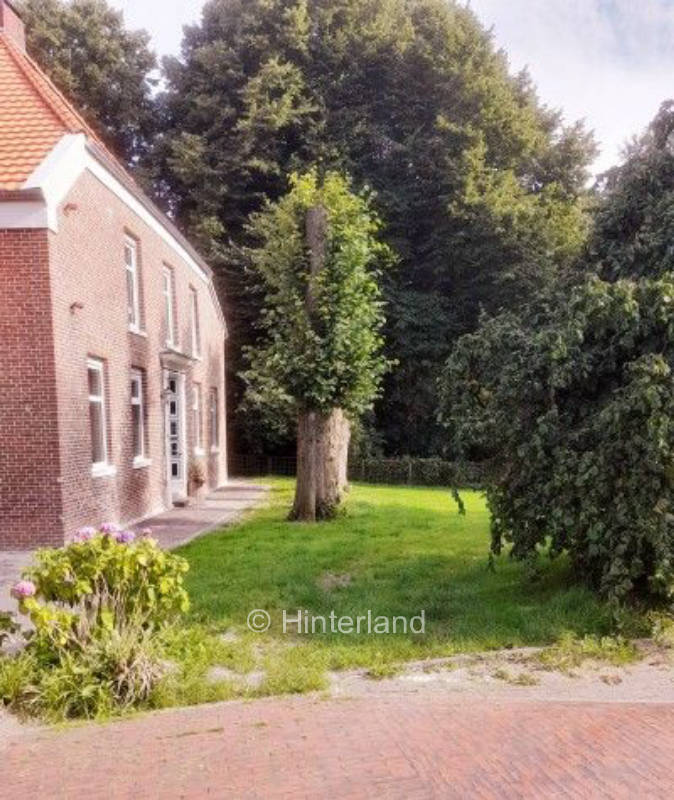 Stellplatz im Garten am Park in Ostfriesland 