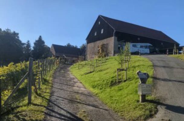 Stellplatz mit Blick ins Grüne