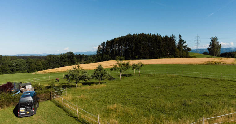 Bei den Pferden im Allgäu