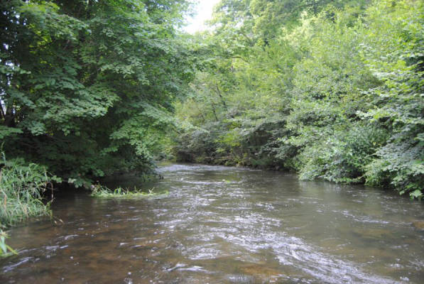 Stay in the historic Nagold Valley (Campspace 5454)
