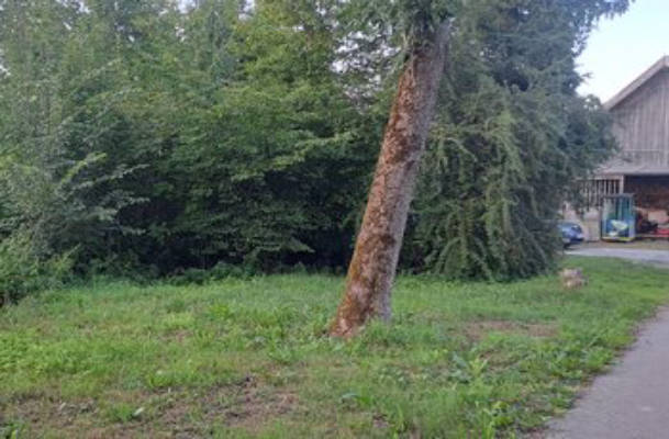 Camping im Privatgarten München