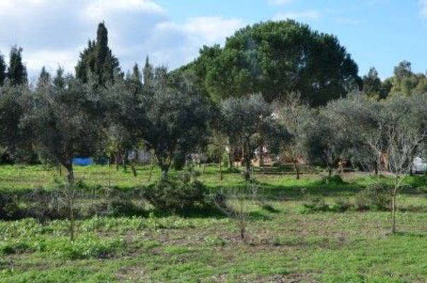Ecovillaggio: Tenda e camper in campagna