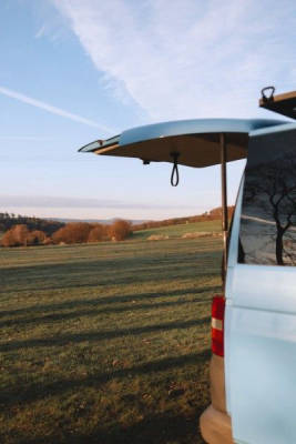 Wunderschöne Wiese mit alten Apfelbäumen 