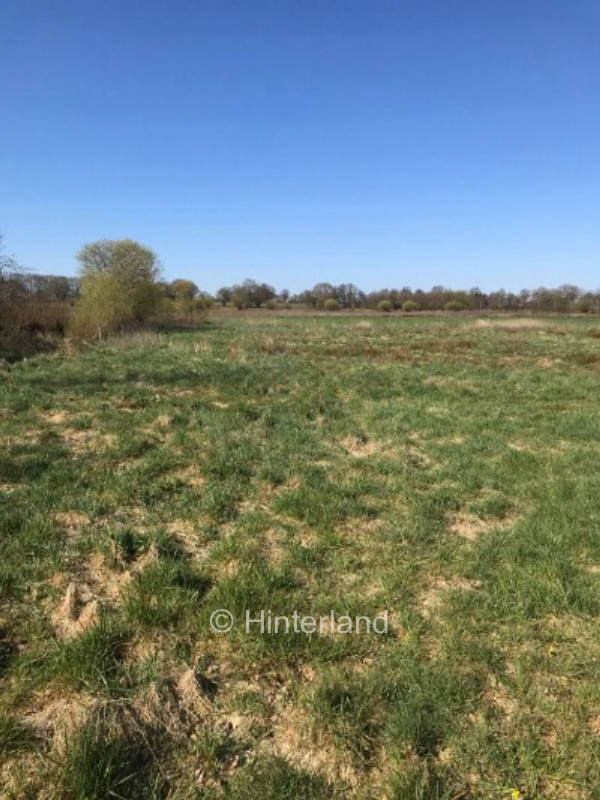 Self-sufficient in the meadow