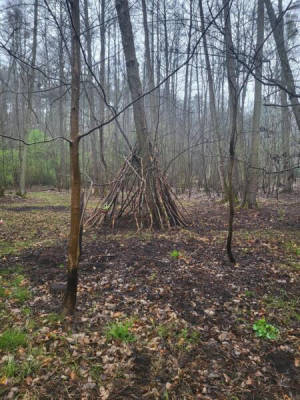 Zelten im Wald (Campspace 29707)