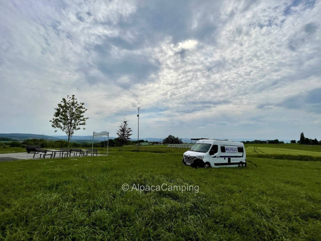 Beautiful meadow with Eifel view #1
