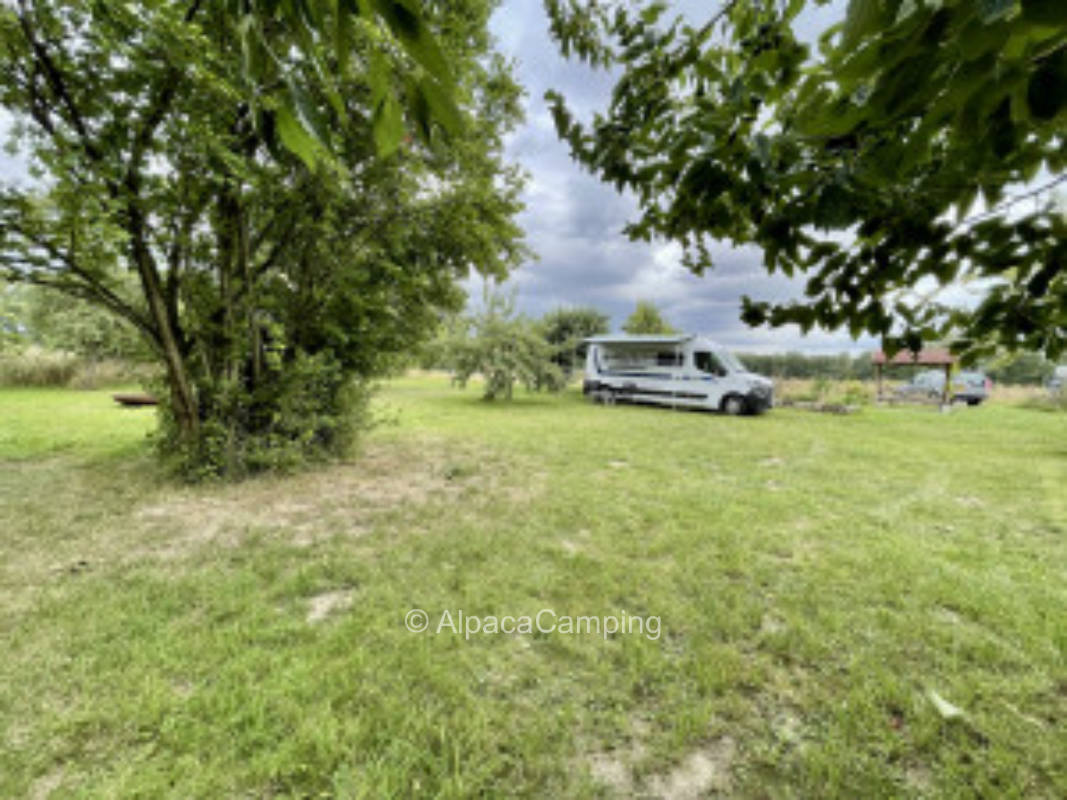 Pitch Limbach near Dresden #2