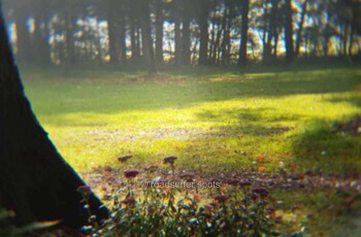 Alpakahof Hohe Heide