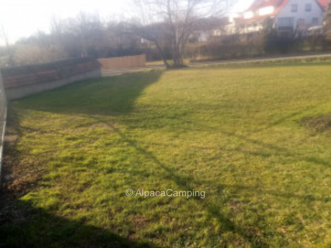 Schwarzier Recreation Ground #3