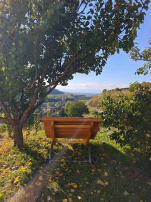 Amoltern Camping: Aussichtspunkt mit Vogesenblick