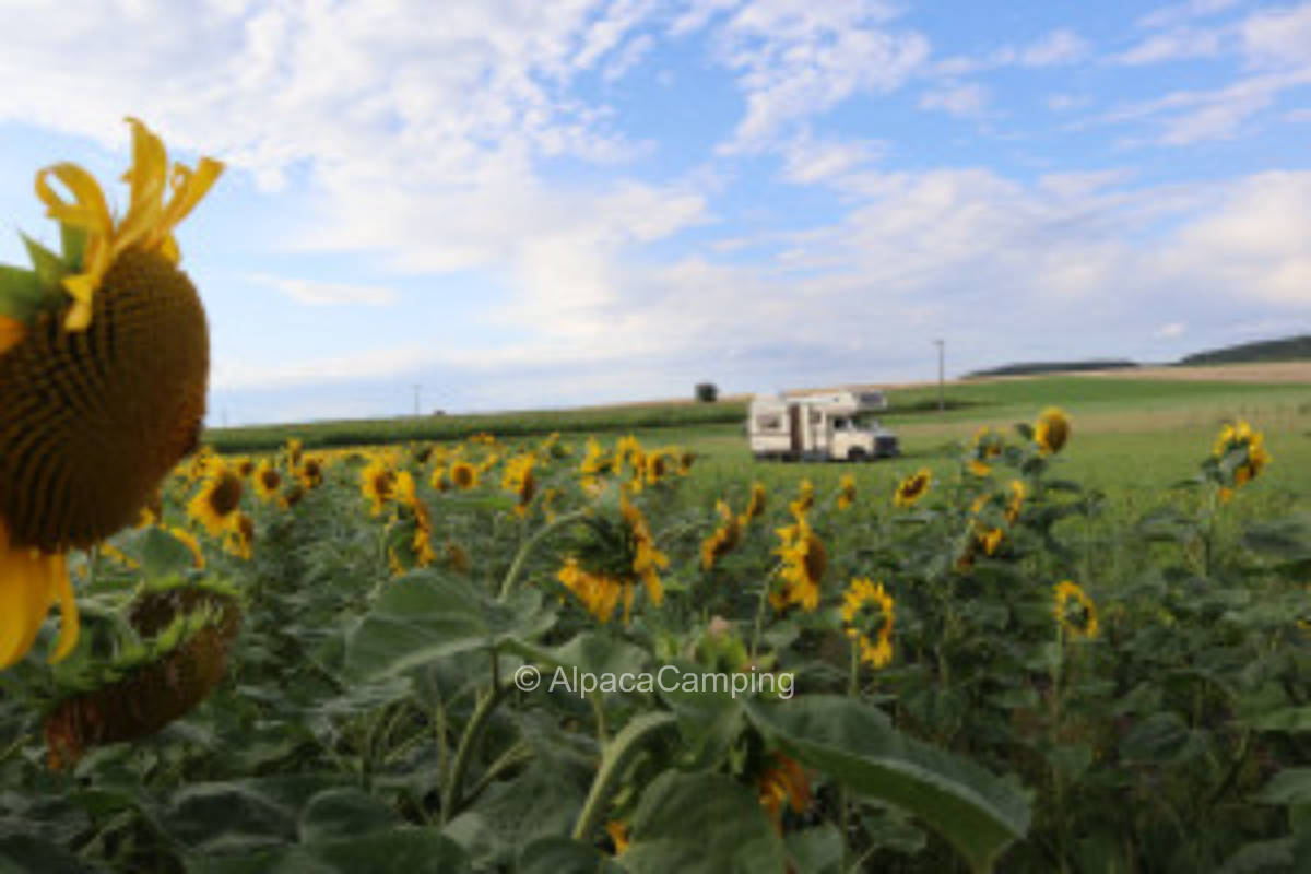 Farm Holidays #1