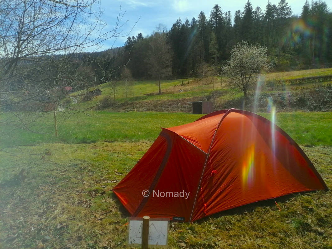 Wieseneckle am Bach mitten im Nationalpark