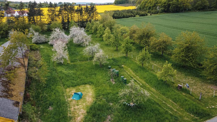 Asphaltierter Stellplatz (Campspace 4143)