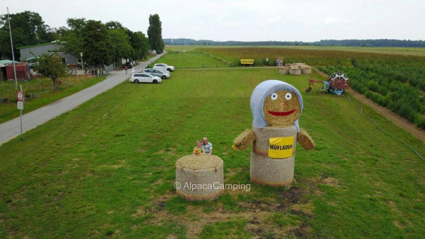 AlpacaCamping 6921