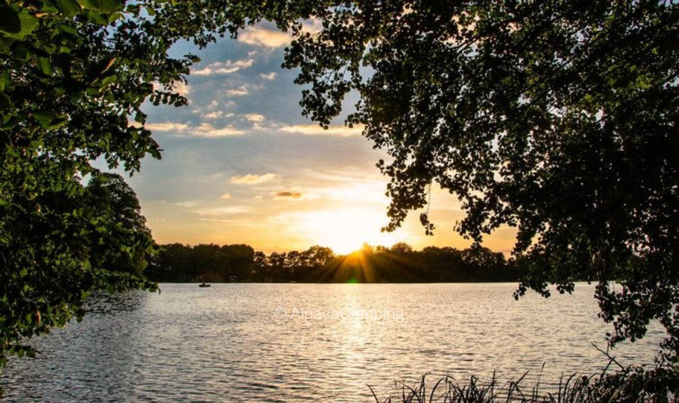 Mecklenburg Lake District - Quiet meadow at swimming lake #1