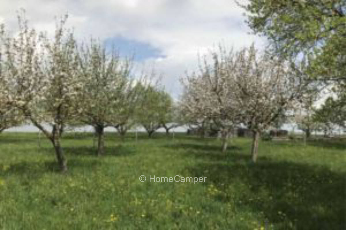 Private place in Ergersheim, Neuherberg