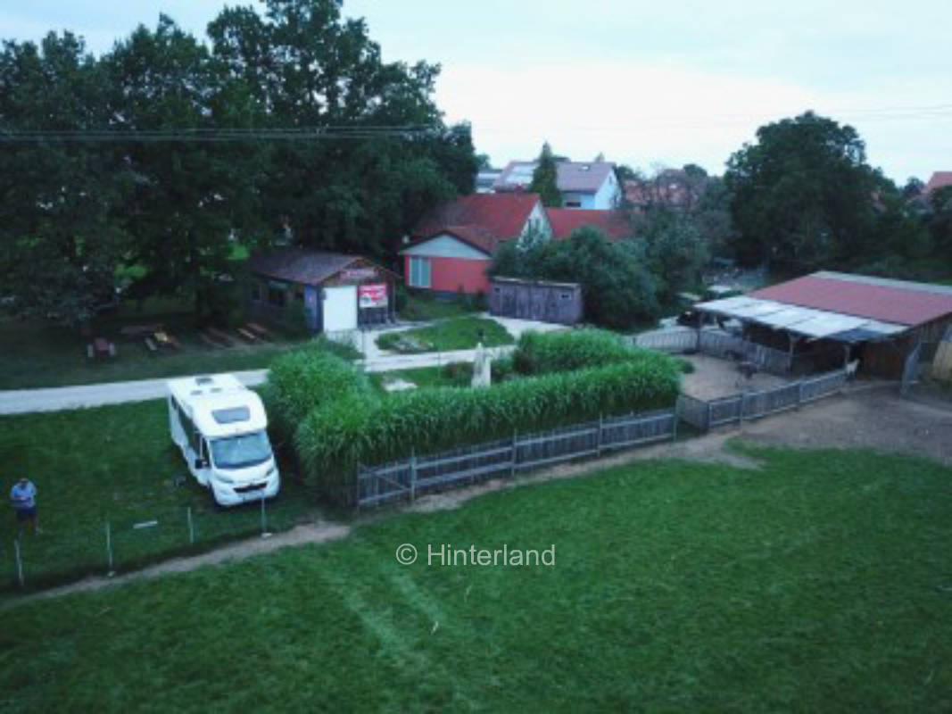Mitten drin auf unserer Straussenfarm